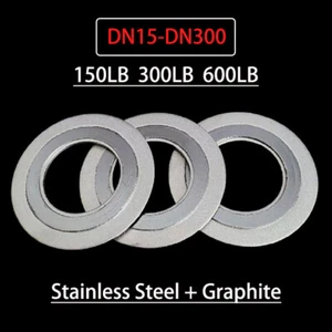 D2222 Graphit Metall Dichtscheiben DN15-DN300 150LB 300LB 600LB - Bild 1 von 6