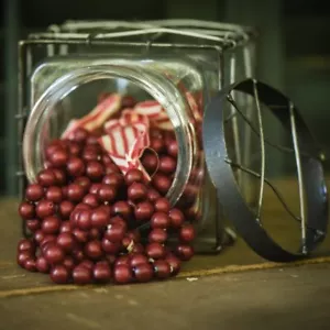 Primitive Ragon House 9' Cranberry Garland - Picture 1 of 4