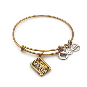 Alex And Ani Gold / Silver Tone Class Of 2018 Expandable Wire Fashion Bracelet - Picture 1 of 12