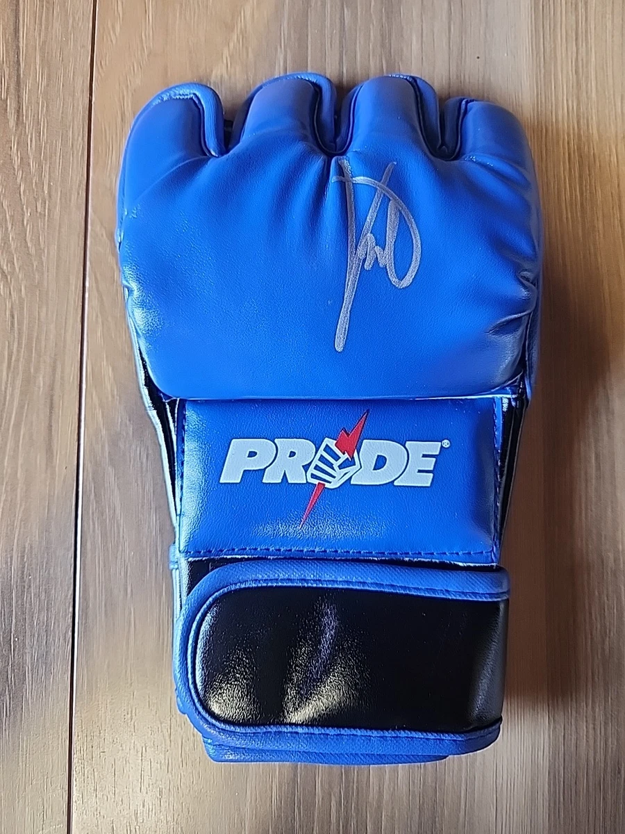 PRIDE オフィシャルグローブ L PRIDE オフィシャルグローブ L pride