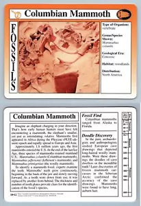Columbian Mammoth #10.12 - Fossils - Treasures Of The Earth Grolier Card - Picture 1 of 1