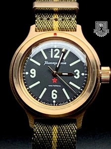 Vostok Amphibia BRONZE 72845A Ltd. & numbered Ed. Brand New Sent from Barcelona - Imagen 1 de 18