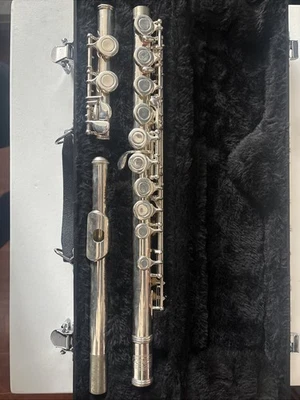 Estuche Rígido Flauta Bundy Selmer Estudiante Principiante 15030143 Hecho en China Foto 1 de 3