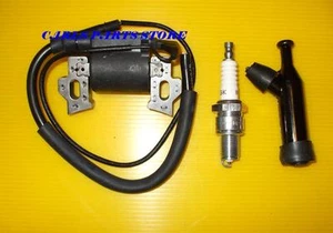 LUTIAN LT-168 LT-168FA 5.5HP IGNITION COIL, SPARK PLUG & CAP BOBINE - Imagen 1 de 1