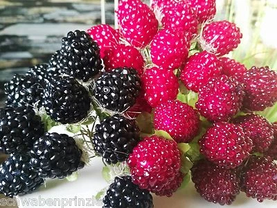 Künstliche Himbeeren Attrappen Dekoration Kunstobst Obst Draht Dekoobst Beeren  - Bild 1 von 2