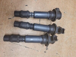 Triumph Speed Triple 1050 Coils 2007 (14091) - Bild 1 von 1