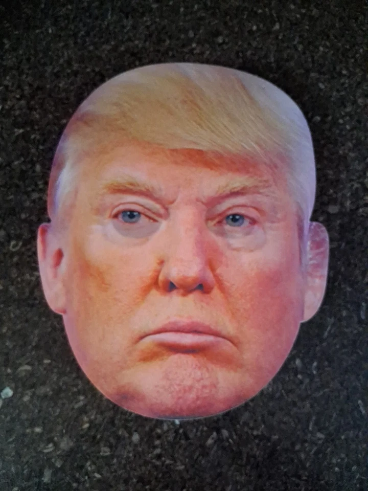 Morris Costumes SEZ17138 Máscara gigante Trump Foto 1 de 3