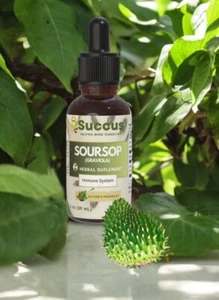 Soursop (Graviola) Tincture - Immune System - Picture 1 of 2