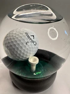 Pelota de golf vintage Golf Pro Snow Globe Challenge - Imagen 1 de 4