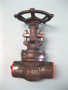 NEW 1" J Flow Class 800 F11 Socket Weld Gate Valve F3 - Picture 1 of 8