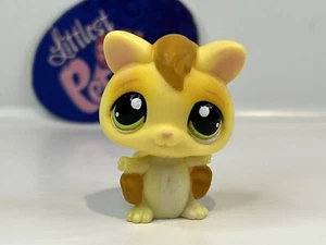 SUGAR GLIDER #990 - Authentic Littlest Pet Shop - Hasbro LPS - Picture 1 of 4