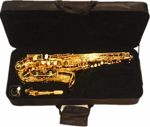 Funion Eb Key Alto Saxophone Kit High F# Brass Body Gold Lacquer E Flat Case New - Picture 1 of 5