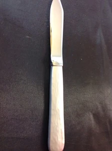 Oneida MORAINE Stainless Hollow-Handle Butter Server (s) * - Picture 1 of 1