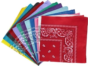 12 Pack Paisley Cotton Bandanas, Multi Color Cowboy Head Scarf, Double Sided Set - Picture 1 of 7