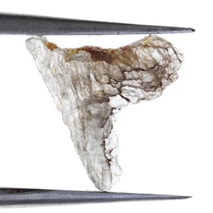 Slice Translucent Natural Loose Rough Diamond Raw 10.34X9.15X1.26MM 0.56 Ct - Picture 1 of 2