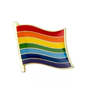 Gay Pride Curved Flag Enamel Pin Badge Lapel Brooch Jewellery LGBTQ - Picture 1 of 2
