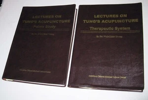 Posten 2 Vorträge über Tung-Akupunktur Dr. Wei Chieh Young Therapeutisches System Bücher - Bild 1 von 5