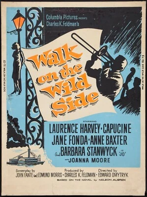 WALK ON THE WILD SIDE (1962)  Barbara Stanwyck - Public Domain Movie DVD NO CASE - Image 1 of 2