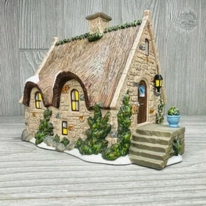Department 56 rare 2016 Anglesey Cottage 4023624 Christmas Dickens Village house - Picture 1 of 12