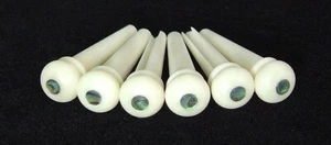 skirt:5.50mm Acoustic Guitar Bone Pin 1set PN-W5E3 - Picture 1 of 3
