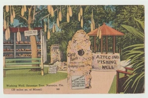 Florida, Naranja, Wishing Well, Sausage Tree. - Picture 1 of 2