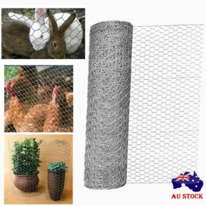 Galvanised Chicken Wire Mesh Hexagonal Pet Wire Netting for Plants Protection - Picture 1 of 13