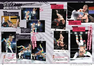 Pro Wrestling Women's STARDOM Fan Book 10th Anniversary 160page 30 women's Japan - Picture 1 of 5
