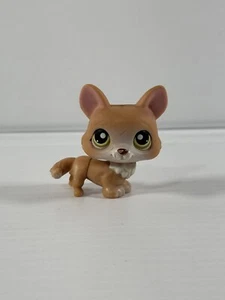 Littlest Pet Shop LPS #183 marrón tostado ojos verdes corgi - auténtico - Imagen 1 de 3