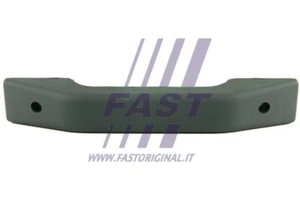 FT94265 FAST Türgriff für IVECO - Imagen 1 de 2