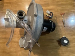 Soplador de aire de combustión OEM Pentair 77707-0256 LP para MasterTemp / Max-E-Therm - Imagen 1 de 13