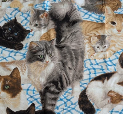 Daisy Kingdom Cotton Fabric CAT'S MEOW ALLOVER #1872 Kittens 44" Wide x 1½ Yds - Image 1 of 4
