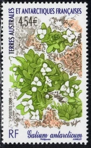 2008 TAAF/FSAT Antarctic Bedstraw Flower MNH - Picture 1 of 1
