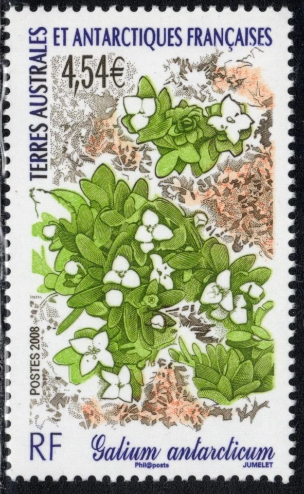2008 TAAF/FSAT Antarctic Bedstraw Flower MNH - Image 1 of 1