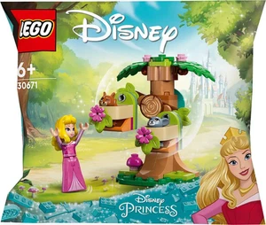 LEGO Disney Princess: Auroras Waldspielplatz (30671) - Bild 1 von 3