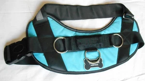Pet Harness Joyride Dog Walker Training XXL EUC Teal No Pull Easy On Hook & Loop - Picture 1 of 8