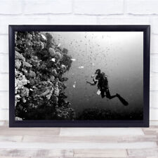 Dahab Underwater Diving Egypt Diver Dive Deep Black & White Fish Camera Print