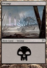 SWAMP #297 Champions of Kamigawa MTG Magic the Gathering Cards DJMagic