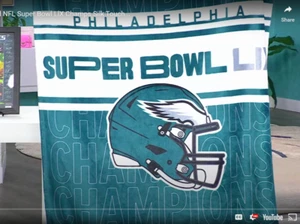 Officially Licensed NFL Super Bowl LlX Champs Silk Touch 60"x50" Throw - Eagles - Picture 1 of 20