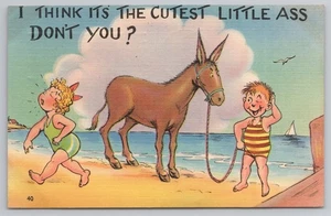 Cute Ass Donkey Beach Humor c1942 Postcard - Picture 1 of 2