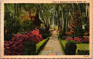 Szene in Bellingrath Gärten Azaleen Sträucher mobil ALABAMA LEINEN POSTKARTE D14 - Bild 1 von 2