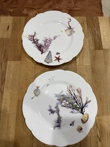 Limoges Haviland Fisch Muschel Teller 2er Set Antik 8,5 Zoll - Bild 1 von 7