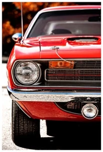 13x19 1970 Plymouth Barracuda Photo Print Art 440 383 Rapid Transit System 'Cuda - Bild 1 von 1