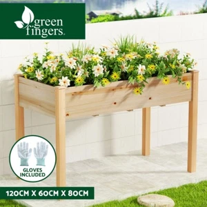 Green Fingers Garden Bed Elevated 120x60x80 Wooden Planter Box Raised Container - Picture 1 of 8