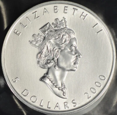 Silbermünze 1 Unze Maple Leaf 2000 Feuerwerk Privy Originalblister Sammlerstück - Bild 1 von 4