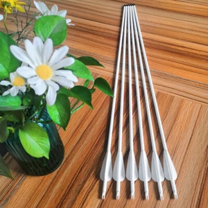 30" Archery Carbon Arrows SP500 Arrowhead Recurve Compound Bow Hunting Shooting - Picture 1 of 15