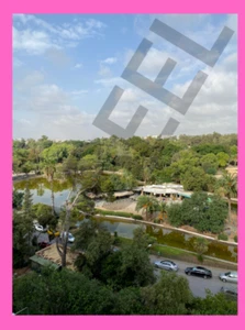 Digital Image Picture Photo Pic Wallpaper Background Desktop of Belvedere  21 - Picture 1 of 2