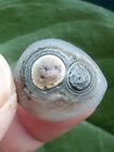 22 mm Agate Naturelle Gobi Agate Oeil Agate Pierre Suiseki-observation Collection Chine
