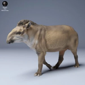 Brazilian Tapir – 3D Printed Model - Unpainted - Animals Miniatures - Imagen 1 de 3