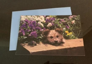 Get Well Greeting Card Gallant Critter new with envelope Floral - Picture 1 of 3