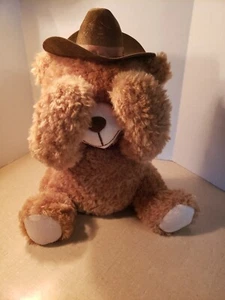 Peluche orsacchiotto Dan Dee Electronic Talking Peek-a-Boo testato - Foto 1 di 4